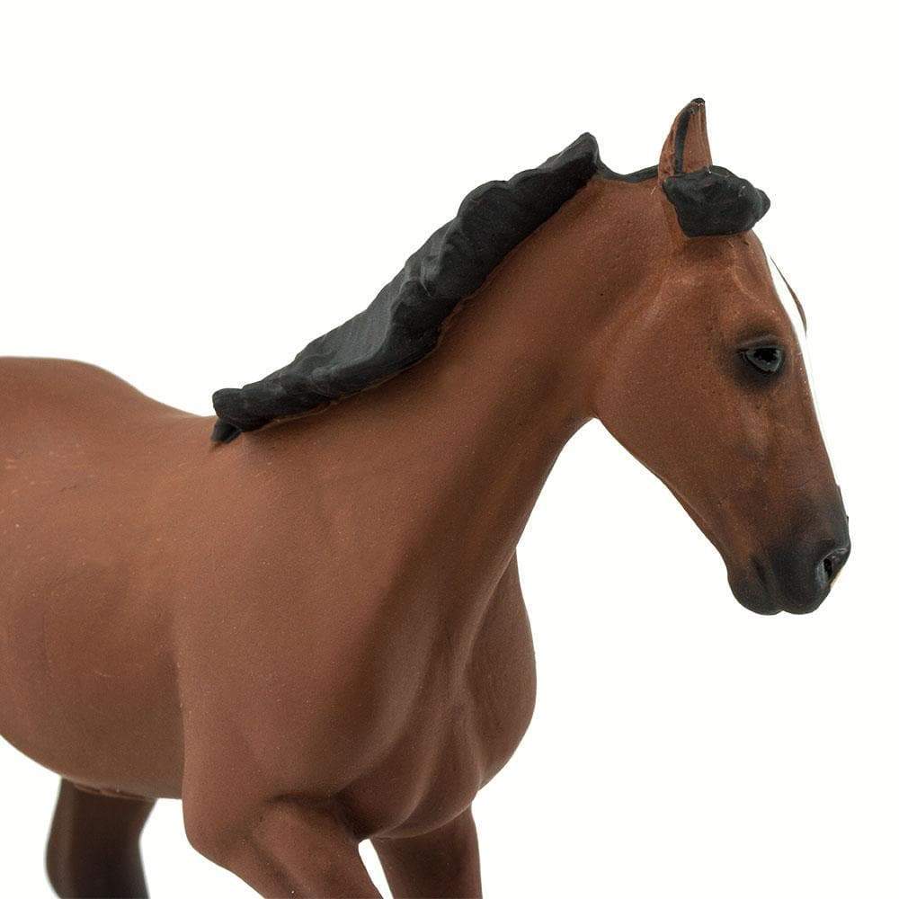Thoroughbred Toy