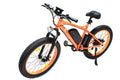 E-Bike 48 Volt 500 Watt - 500WEBIKE
