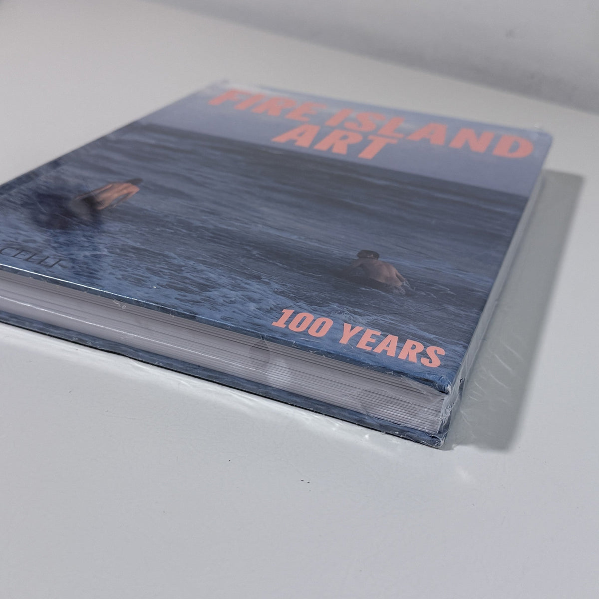 Fire Island Art: 100 Years Hardcover Monacelli Ed. John Dempsey