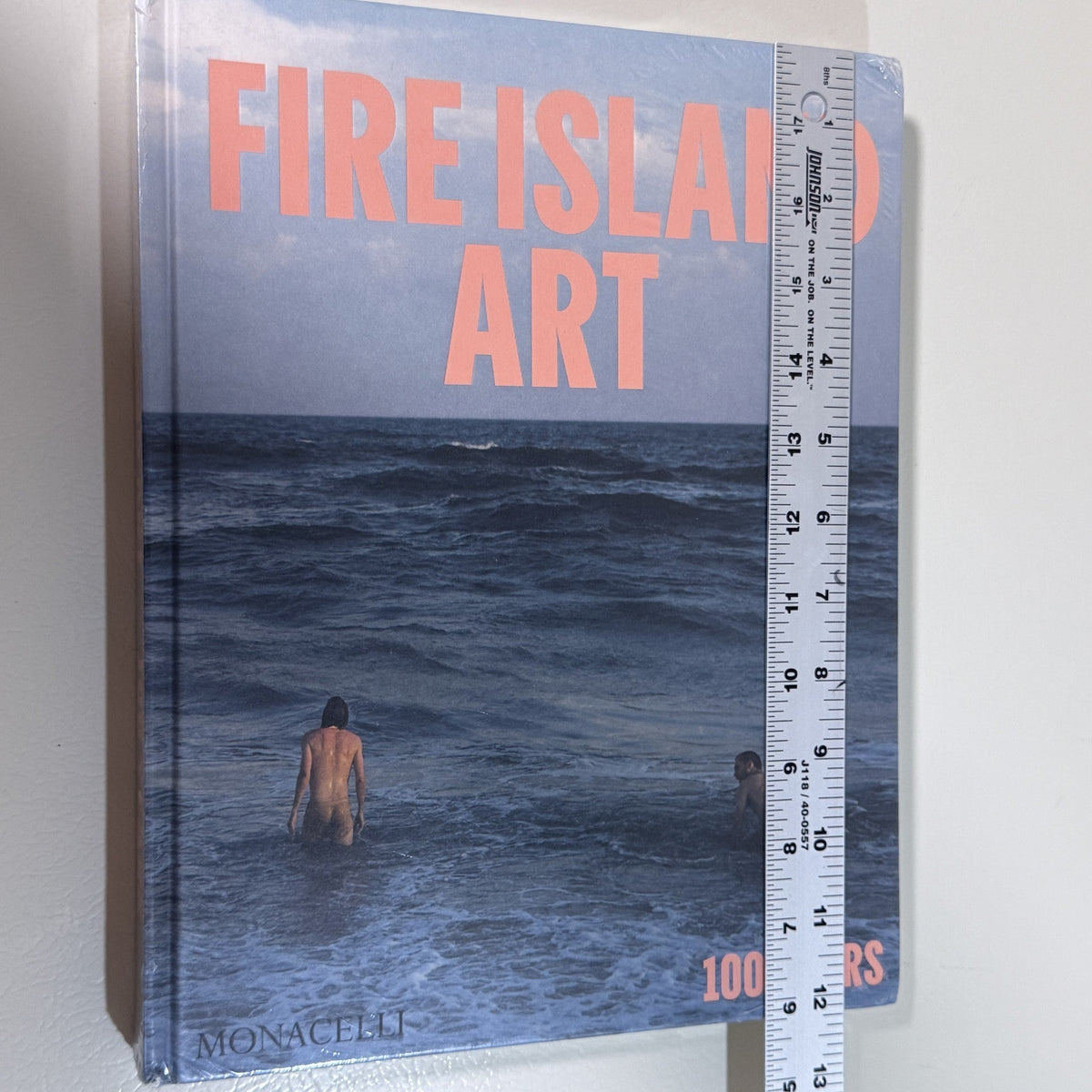 Fire Island Art: 100 Years Hardcover Monacelli Ed. John Dempsey