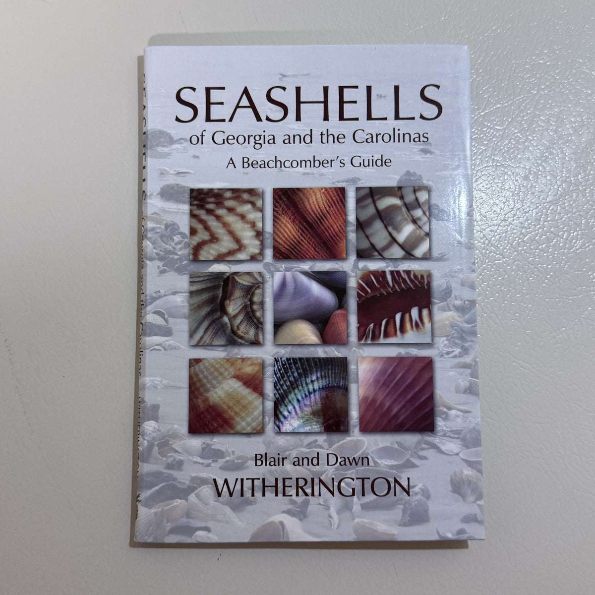 Seashells of Georgia and the Carolinas by Blair and Dawn Witherington