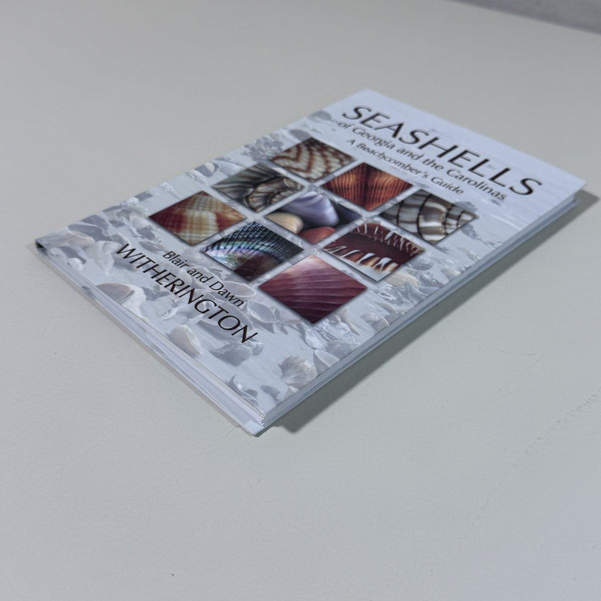 Seashells of Georgia and the Carolinas by Blair and Dawn Witherington