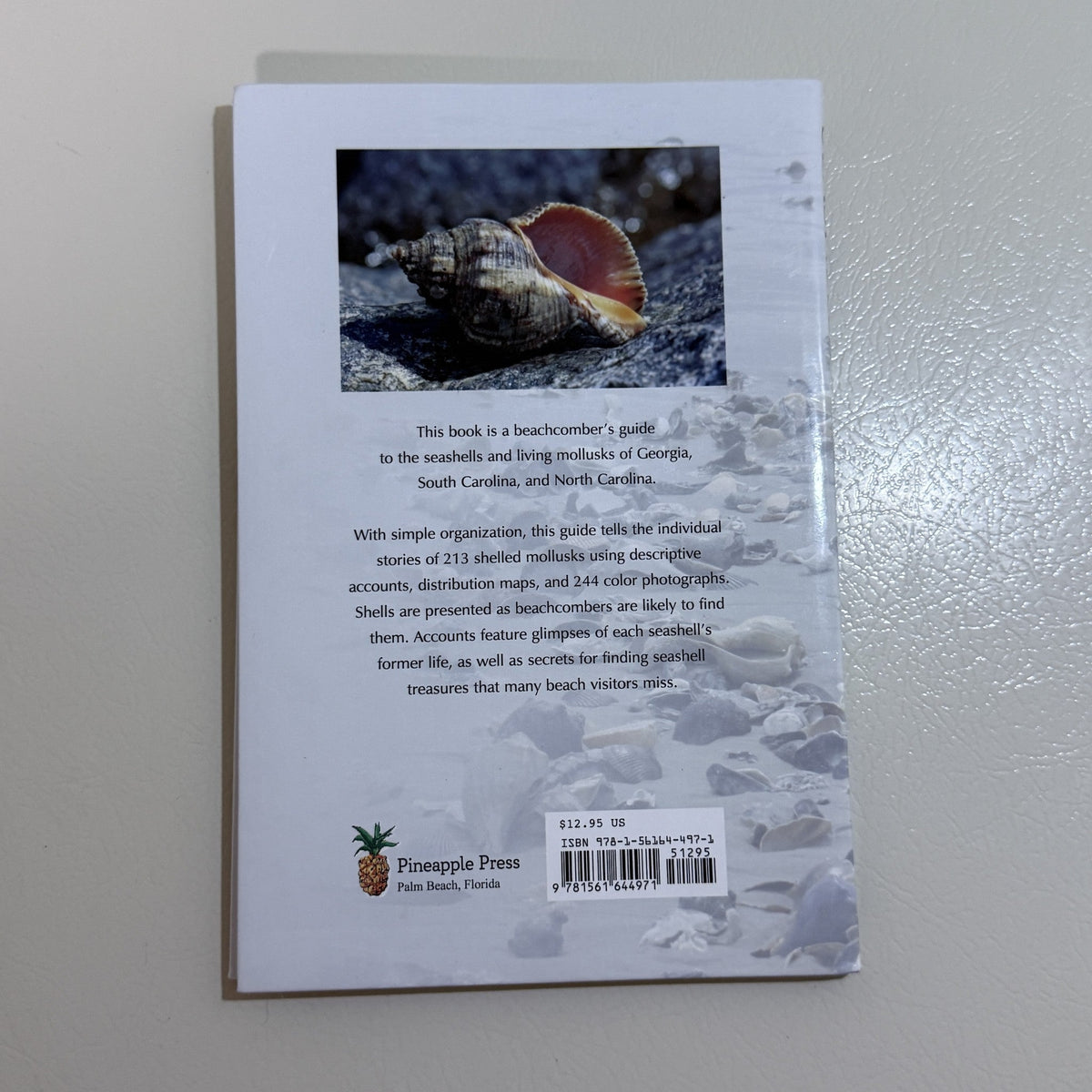 Seashells of Georgia and the Carolinas by Blair and Dawn Witherington