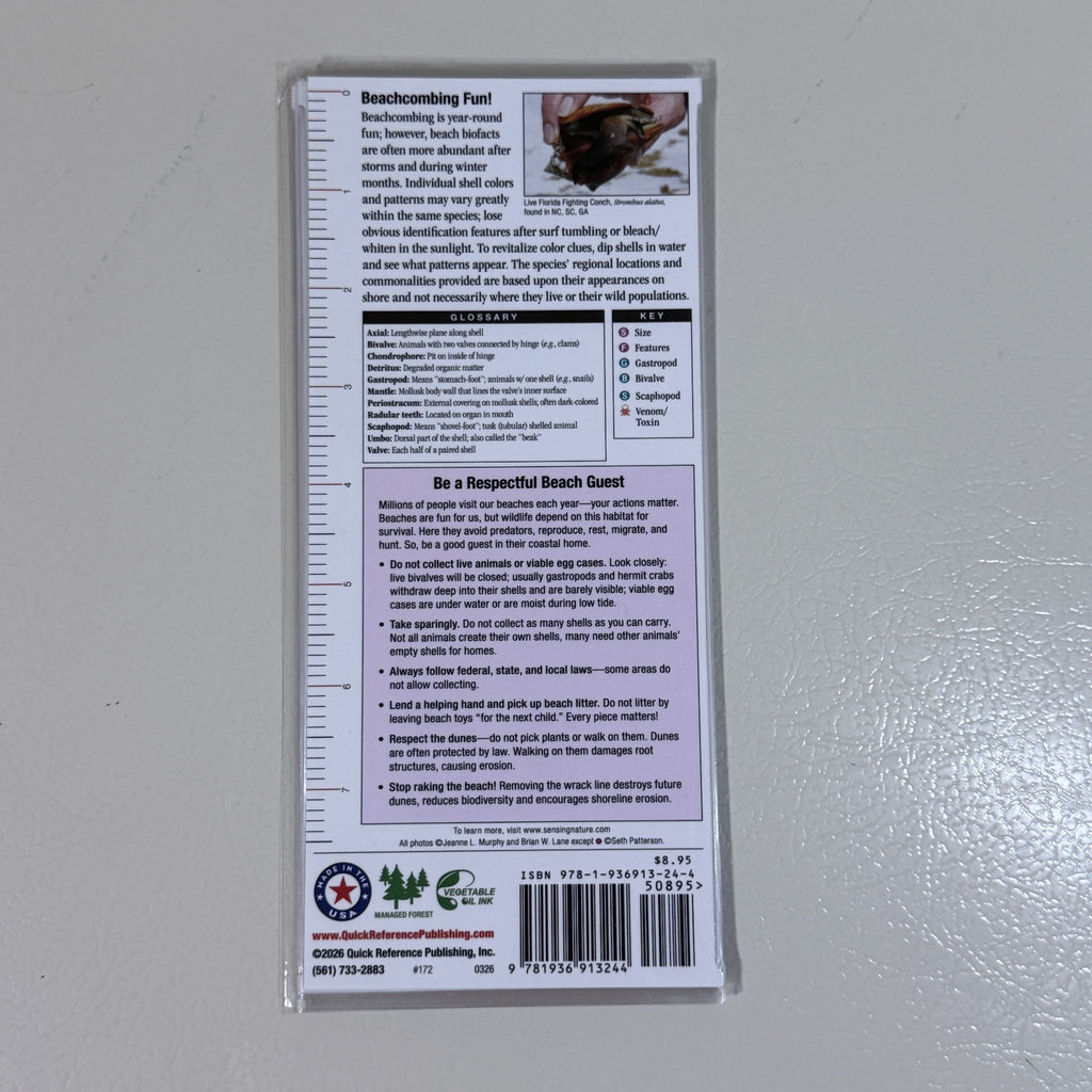 Shells of North Carolina, South Carolina & Georgia Folding Guide